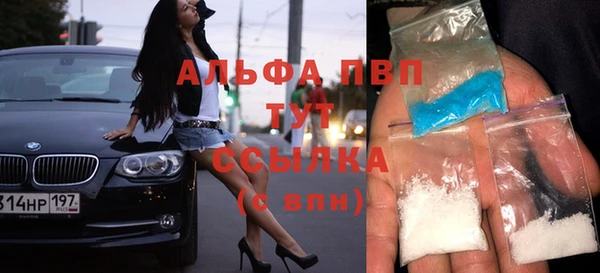 крисы Козельск