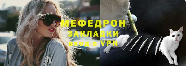 крисы Козельск