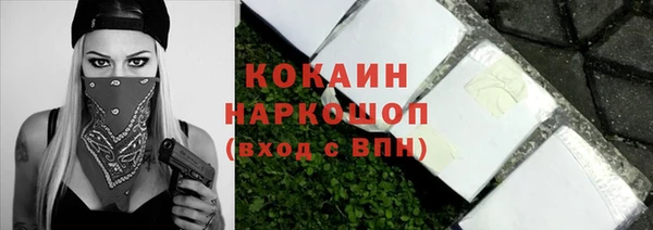 крисы Козельск