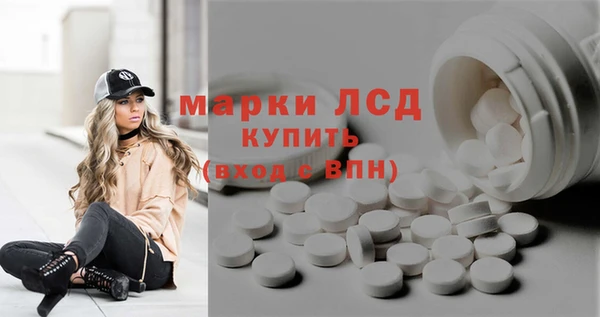 крисы Козельск