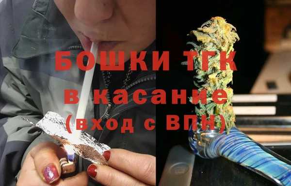крисы Козельск