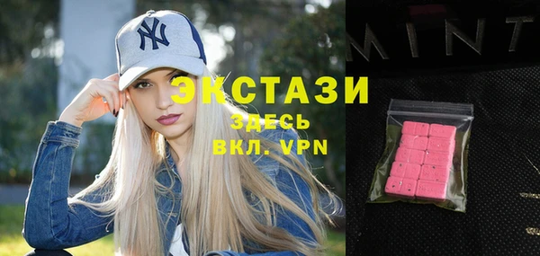 крисы Козельск