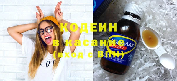 крисы Козельск