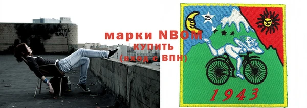 крисы Козельск