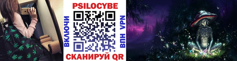Купить где  Красный Кут  Псилоцибиновые грибы прущие грибы 